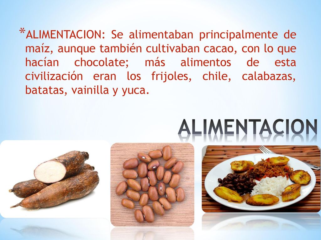 ALIMENTACION: Se alimentaban principalmente de maíz, aunque también cultivaban cacao, con lo que hacían chocolate; más alimentos de esta civilización eran los frijoles, chile, calabazas, batatas, vainilla y yuca.