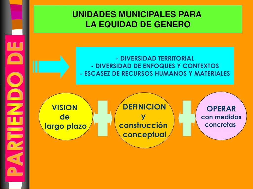PARTIENDO DE UNIDADES MUNICIPALES PARA LA EQUIDAD DE GENERO VISION