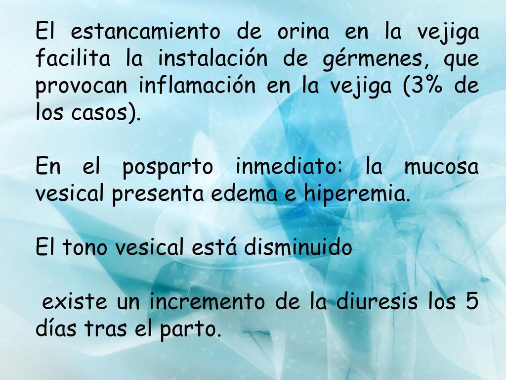 El estancamiento de orina en la vejiga facilita la instalación de gérmenes, que provocan inflamación en la vejiga (3% de los casos).
