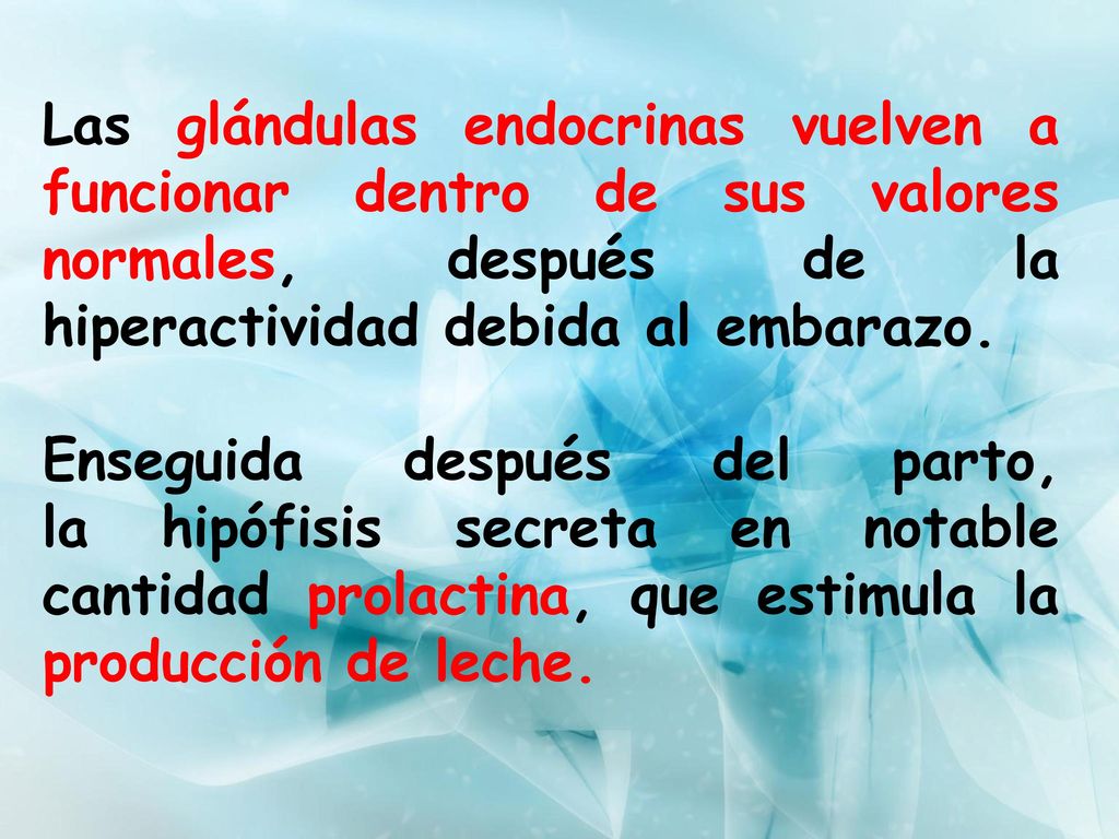 Las glándulas endocrinas vuelven a funcionar dentro de sus valores normales, después de la hiperactividad debida al embarazo.