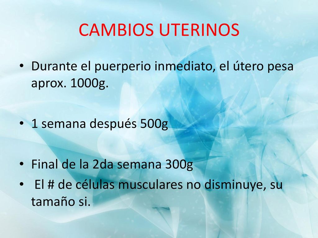 CAMBIOS UTERINOS Durante el puerperio inmediato, el útero pesa aprox. 1000g. 1 semana después 500g.