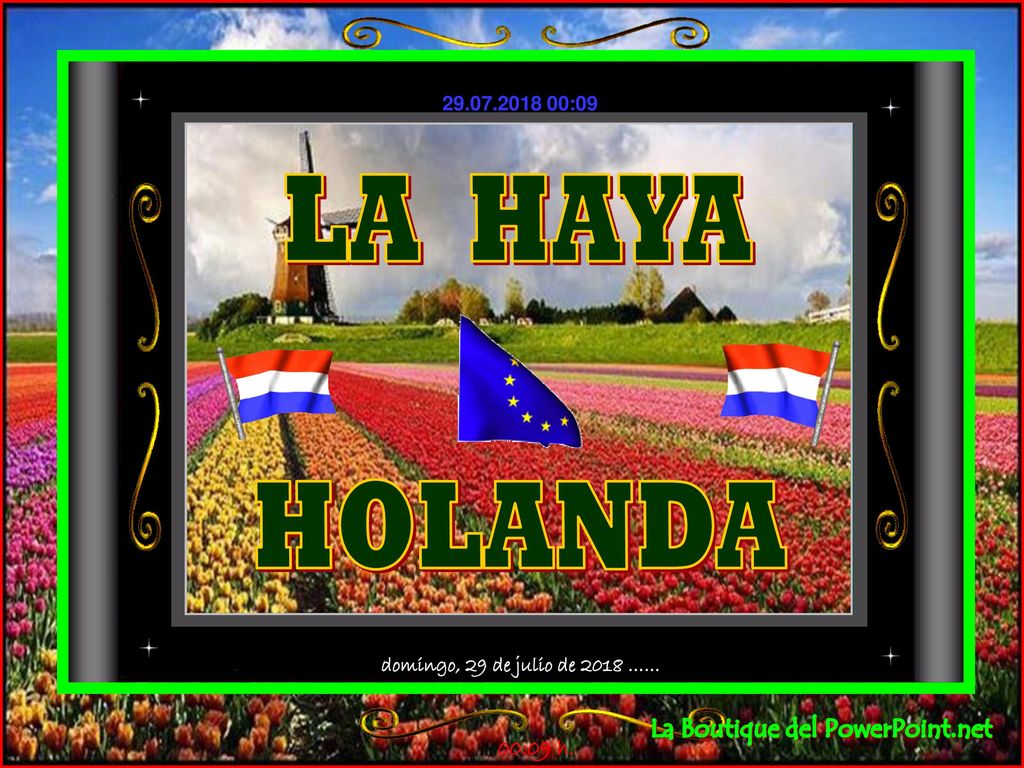 LA HAYA HOLANDA domingo, 29 de julio de 2018 ……