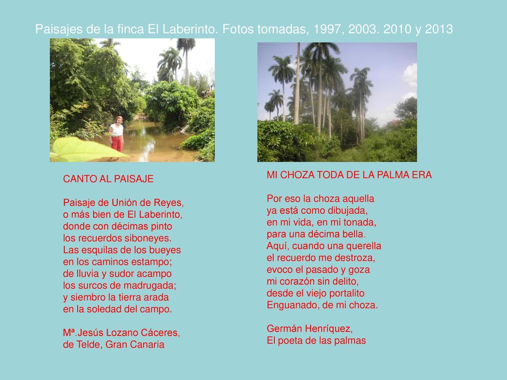 Paisajes de la finca El Laberinto. Fotos tomadas, 1997, 2003