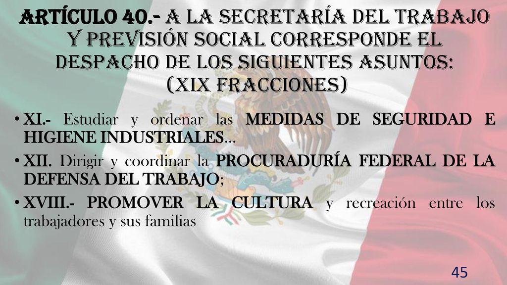 Artículo 40.- A la Secretaría del Trabajo y Previsión Social corresponde el despacho de los siguientes asuntos: (XIX fracciones)