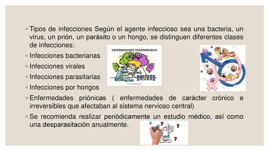 Tipos de infecciones Según el agente infeccioso sea una bacteria, un virus, un prión, un parásito o un hongo, se distinguen diferentes clases de infecciones:
