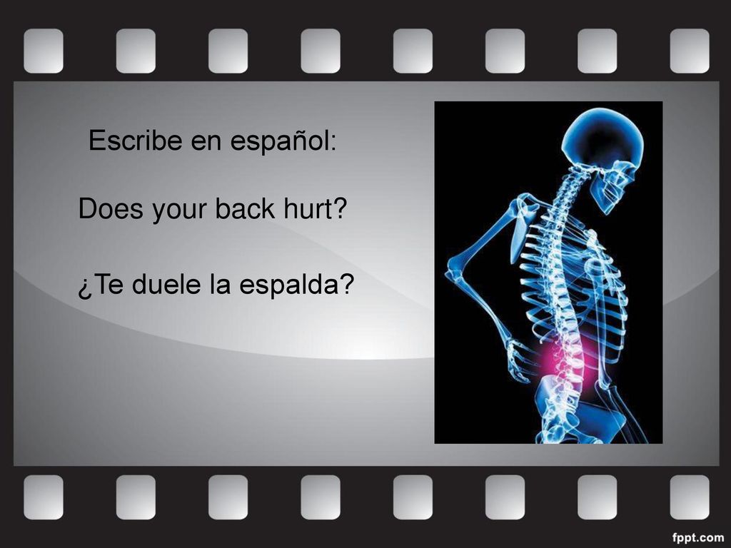 Escribe en español: Does your back hurt ¿Te duele la espalda