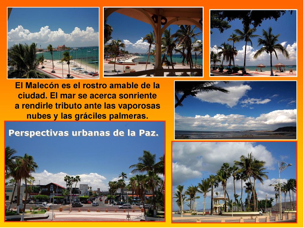 a rendirle tributo ante las vaporosas nubes y las gráciles palmeras.