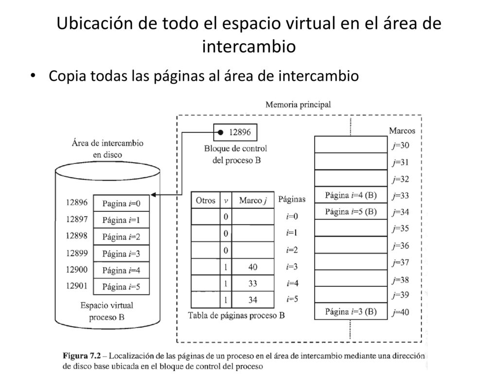 Ubicación de todo el espacio virtual en el área de intercambio