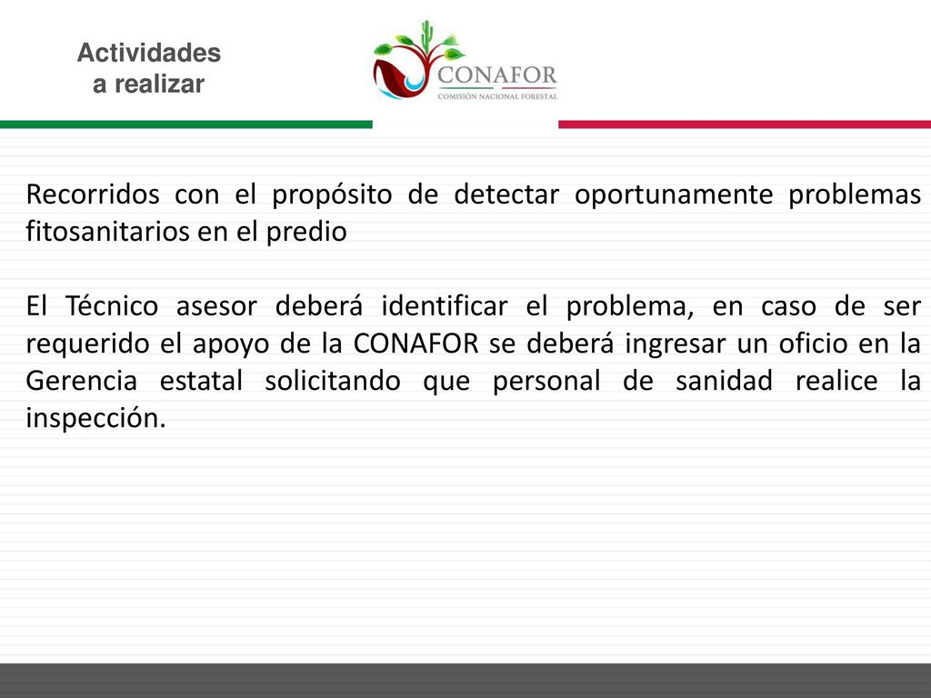 Actividades a realizar. Recorridos con el propósito de detectar oportunamente problemas fitosanitarios en el predio.