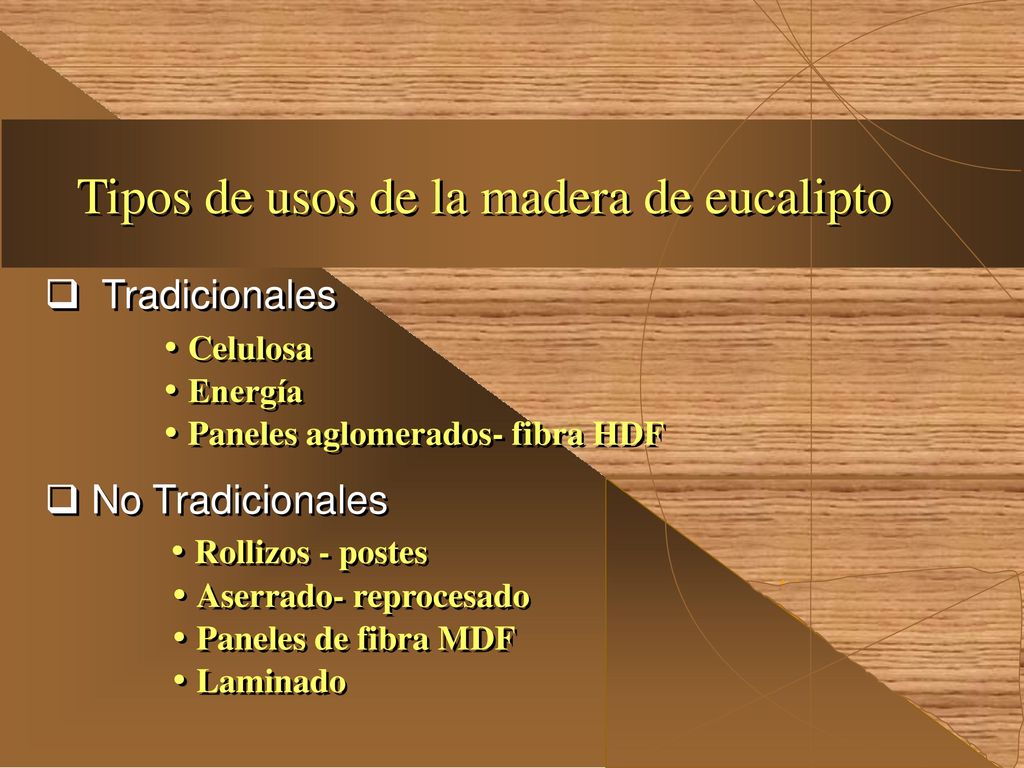 Tipos de usos de la madera de eucalipto