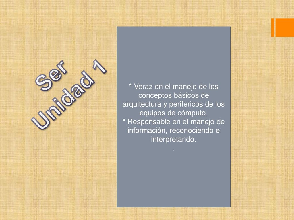 * Veraz en el manejo de los conceptos básicos de arquitectura y perifericos de los equipos de cómputo.