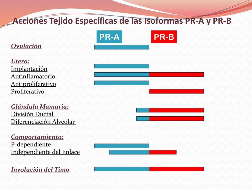 Acciones Tejido Específicas de las Isoformas PR-A y PR-B