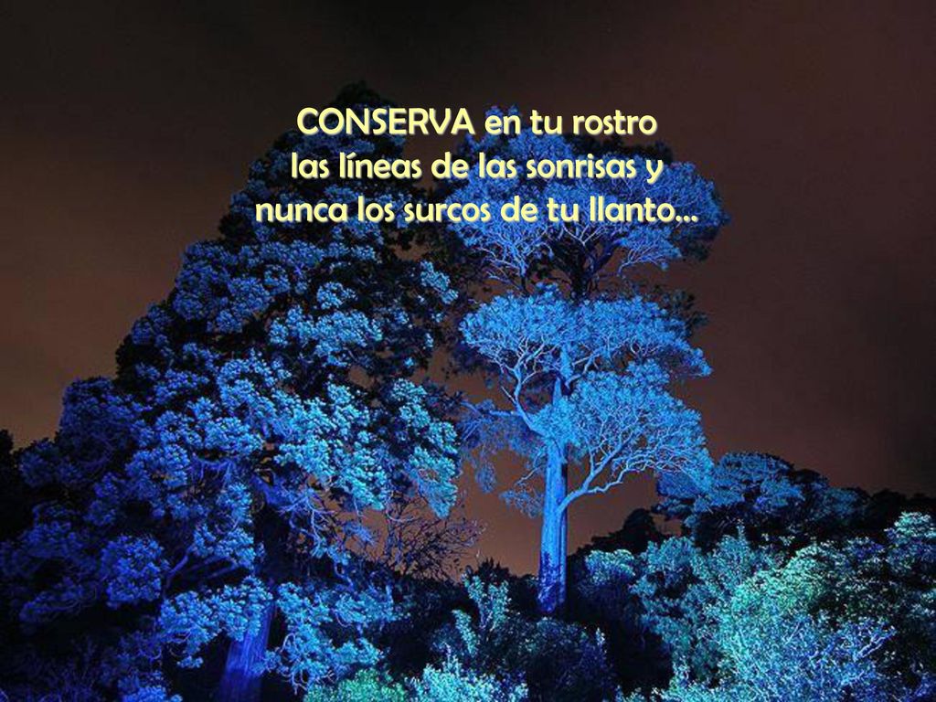 las líneas de las sonrisas y nunca los surcos de tu llanto...