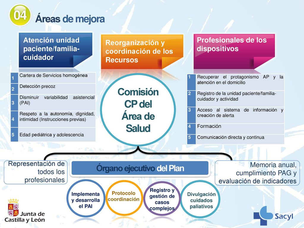 04 Áreas de mejora Comisión CP del Área de Salud