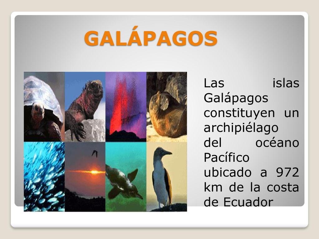 GALÁPAGOS Las islas Galápagos constituyen un archipiélago del océano Pacífico ubicado a 972 km de la costa de Ecuador.