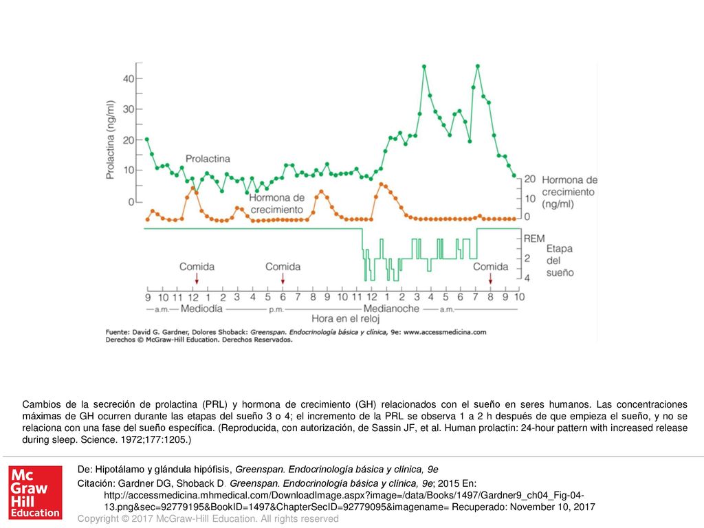 Cambios de la secreción de prolactina (PRL) y hormona de crecimiento (GH) relacionados con el sueño en seres humanos. Las concentraciones máximas de GH ocurren durante las etapas del sueño 3 o 4; el incremento de la PRL se observa 1 a 2 h después de que empieza el sueño, y no se relaciona con una fase del sueño específica. (Reproducida, con autorización, de Sassin JF, et al. Human prolactin: 24-hour pattern with increased release during sleep. Science. 1972;177:1205.)