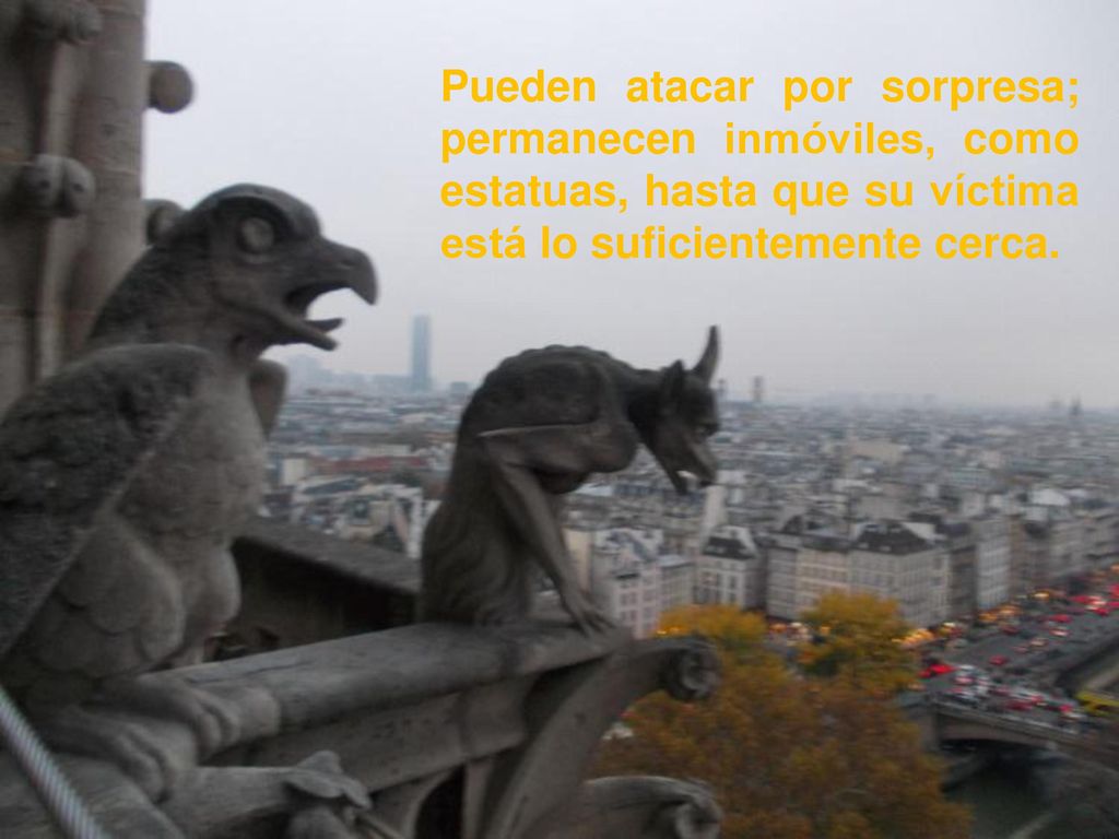 Pueden atacar por sorpresa; permanecen inmóviles, como estatuas, hasta que su víctima está lo suficientemente cerca.