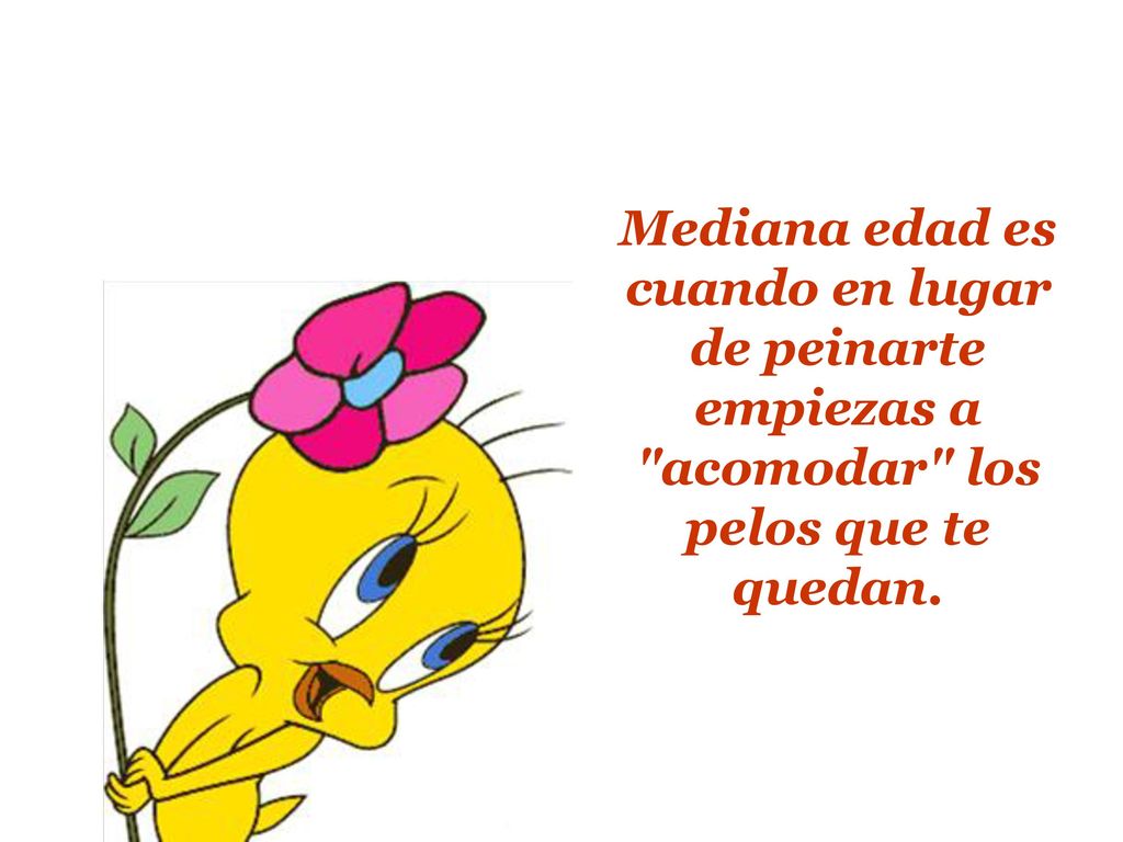 Mediana edad es cuando en lugar de peinarte empiezas a acomodar los pelos que te quedan.