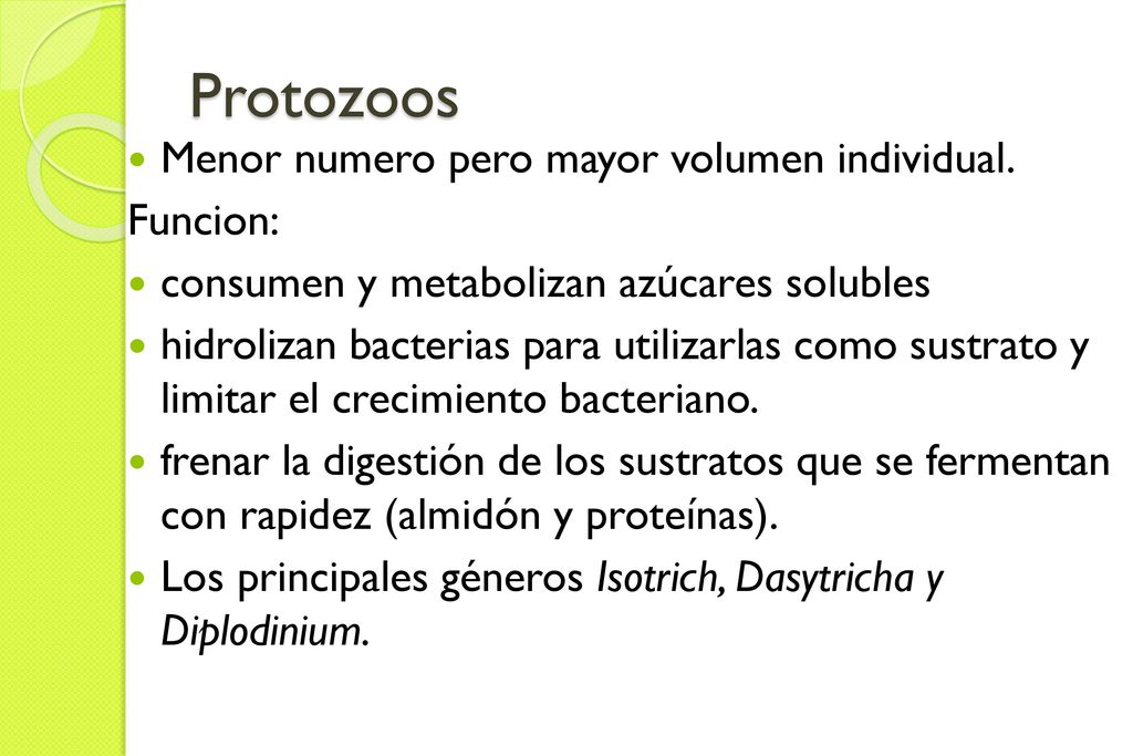 Protozoos Menor numero pero mayor volumen individual. Funcion: