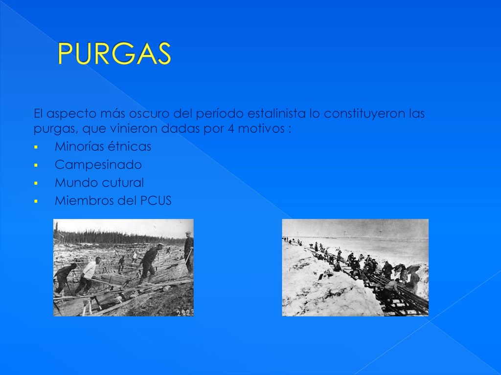 PURGAS El aspecto más oscuro del período estalinista lo constituyeron las purgas, que vinieron dadas por 4 motivos :