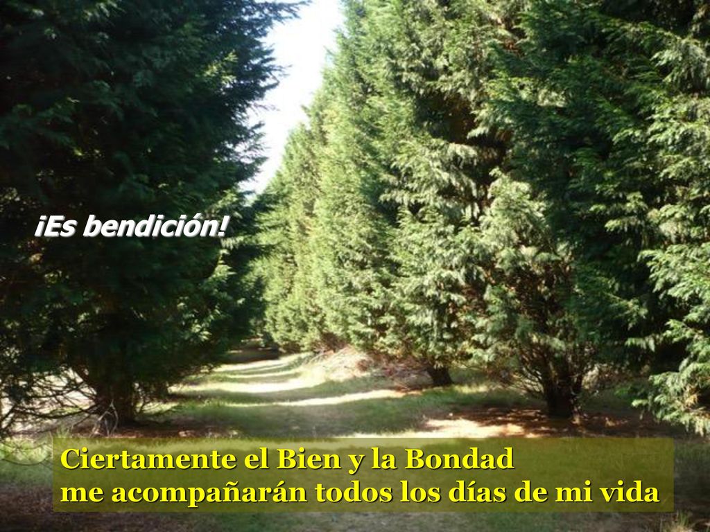 ¡Es bendición! Ciertamente el Bien y la Bondad me acompañarán todos los días de mi vida