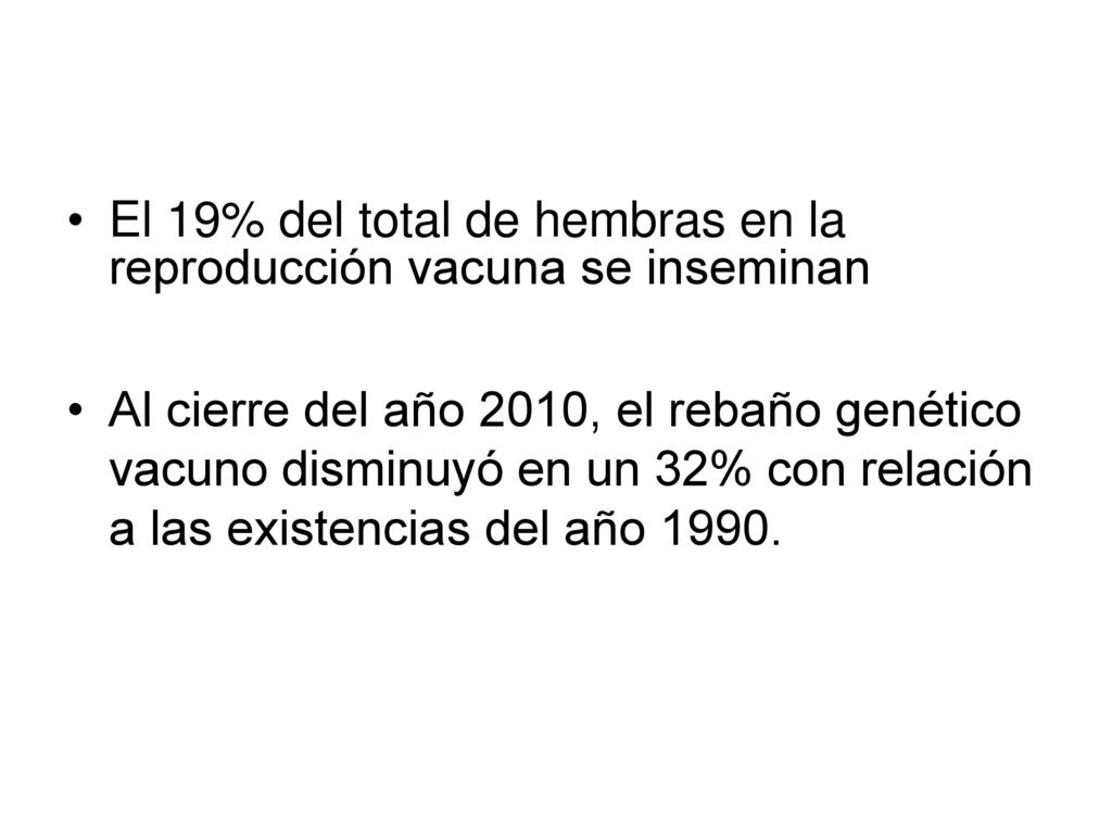 El 19% del total de hembras en la reproducción vacuna se inseminan