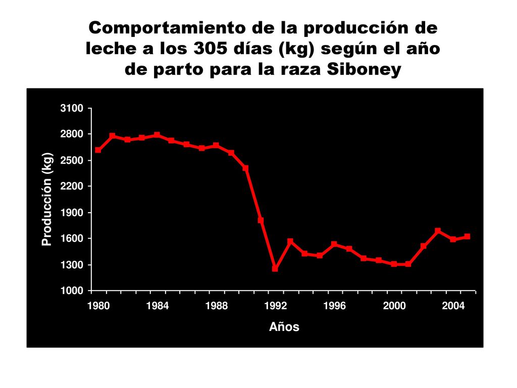Comportamiento de la producción de leche a los 305 días (kg) según el año de parto para la raza Siboney
