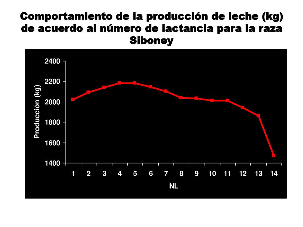 Comportamiento de la producción de leche (kg) de acuerdo al número de lactancia para la raza Siboney