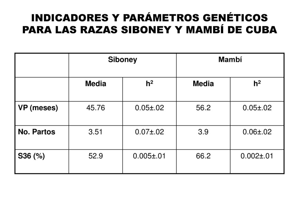 INDICADORES Y PARÁMETROS GENÉTICOS PARA LAS RAZAS SIBONEY Y MAMBÍ DE CUBA