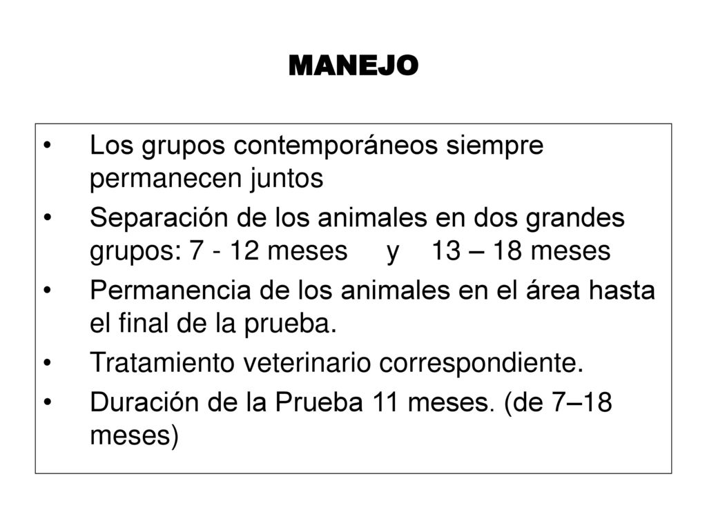MANEJO Los grupos contemporáneos siempre permanecen juntos. Separación de los animales en dos grandes grupos: meses y 13 – 18 meses.