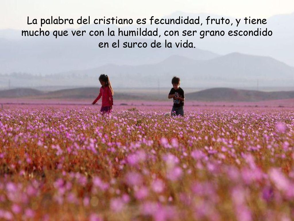 La palabra del cristiano es fecundidad, fruto, y tiene mucho que ver con la humildad, con ser grano escondido en el surco de la vida.
