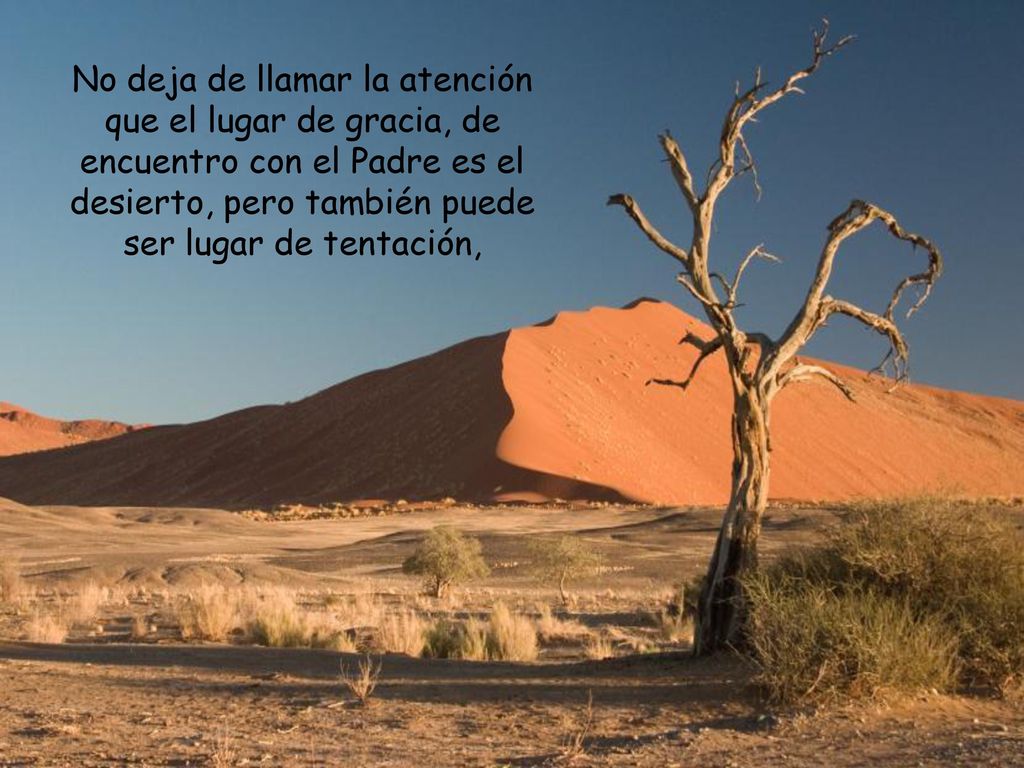 No deja de llamar la atención que el lugar de gracia, de encuentro con el Padre es el desierto, pero también puede ser lugar de tentación,