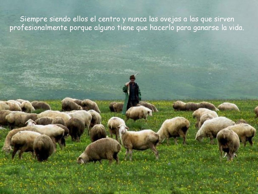 Siempre siendo ellos el centro y nunca las ovejas a las que sirven profesionalmente porque alguno tiene que hacerlo para ganarse la vida.