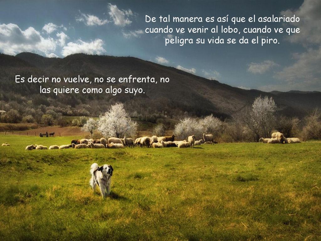 Es decir no vuelve, no se enfrenta, no las quiere como algo suyo.