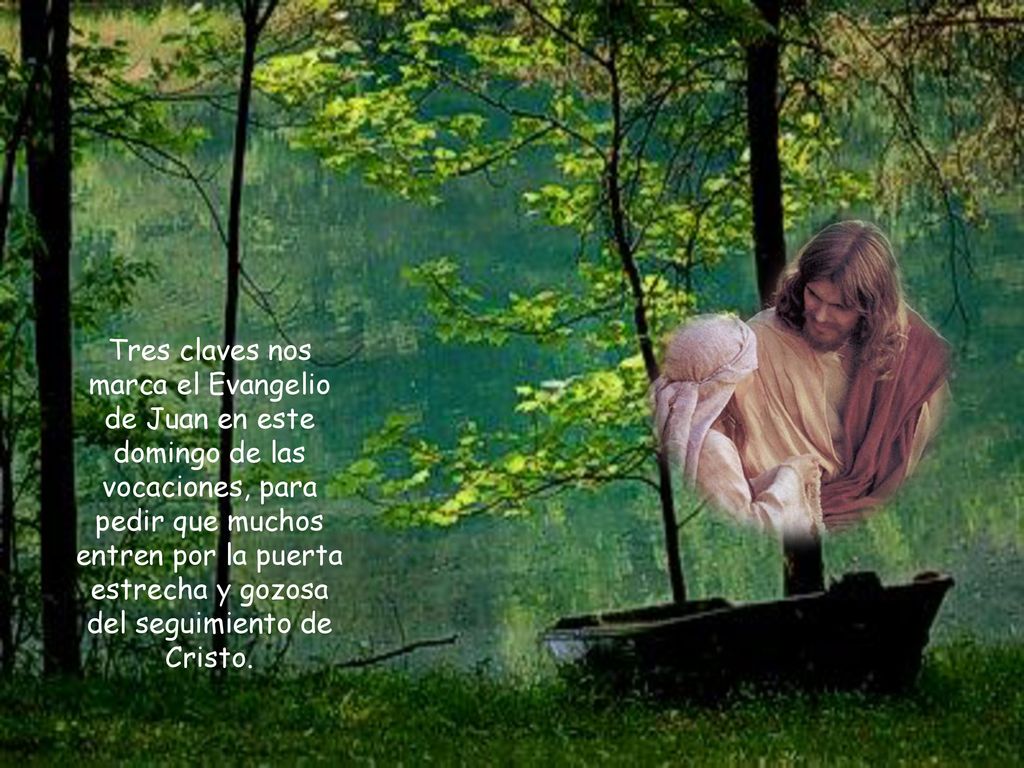 Tres claves nos marca el Evangelio de Juan en este domingo de las vocaciones, para pedir que muchos entren por la puerta estrecha y gozosa del seguimiento de Cristo.