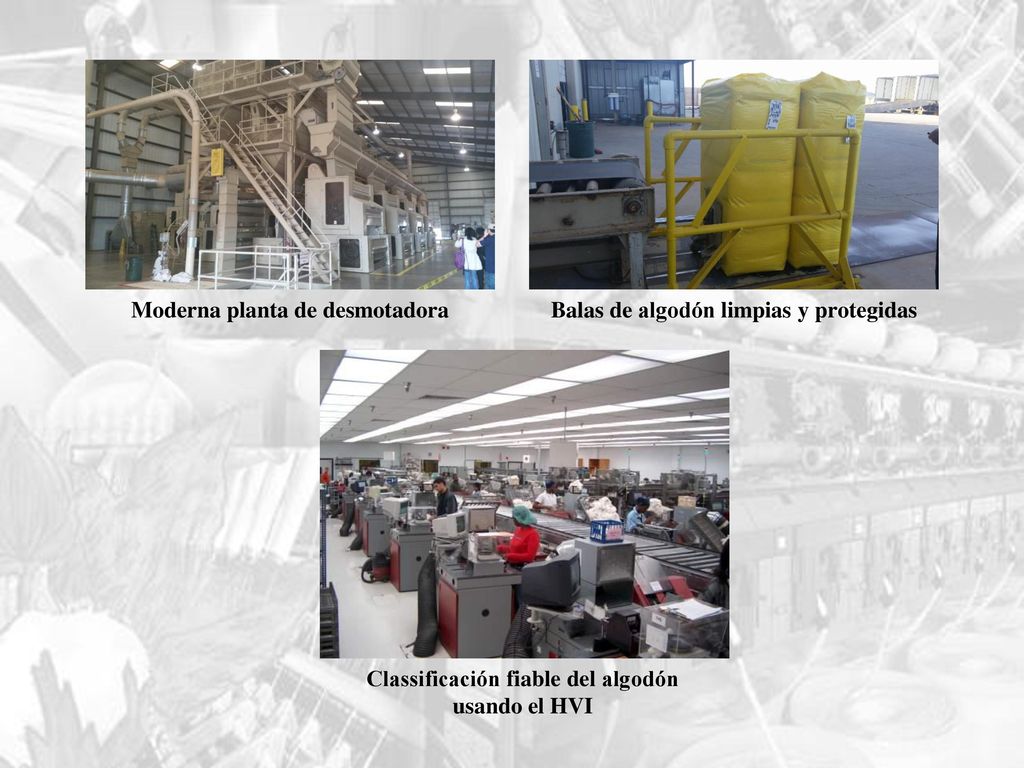 Moderna planta de desmotadora Balas de algodón limpias y protegidas