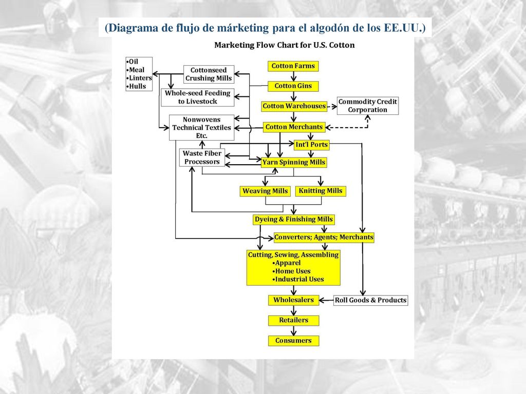(Diagrama de flujo de márketing para el algodón de los EE.UU.)