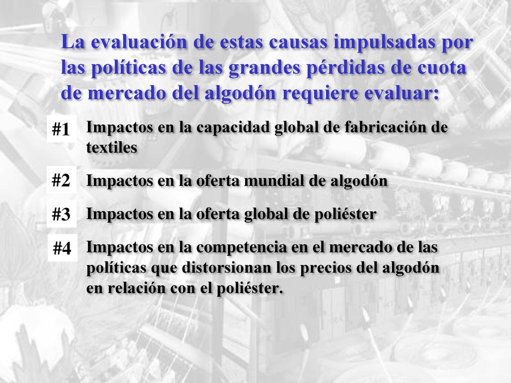 La evaluación de estas causas impulsadas por las políticas de las grandes pérdidas de cuota de mercado del algodón requiere evaluar: