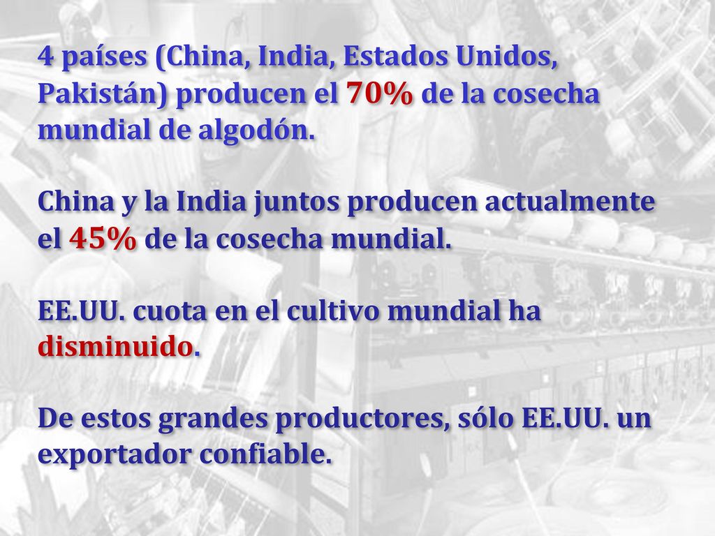 4 países (China, India, Estados Unidos, Pakistán) producen el 70% de la cosecha mundial de algodón.