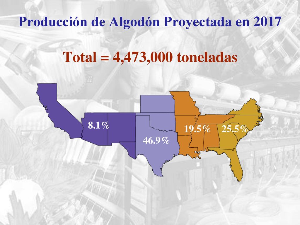 Producción de Algodón Proyectada en 2017 Total = 4,473,000 toneladas