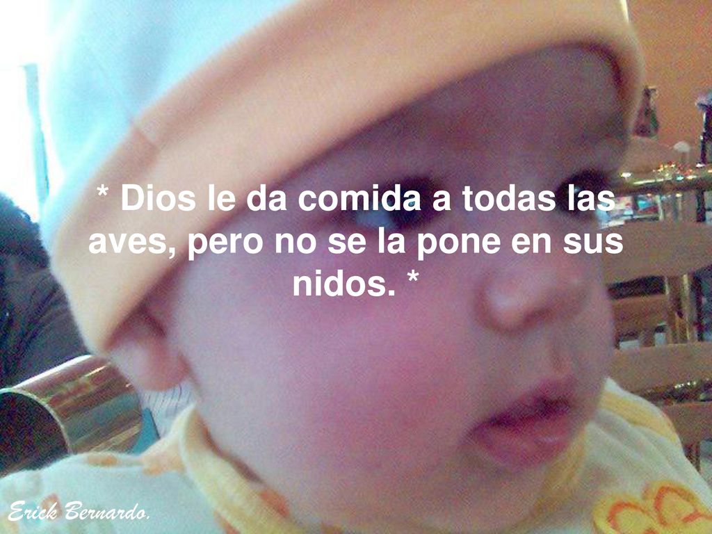 * Dios le da comida a todas las aves, pero no se la pone en sus nidos. *