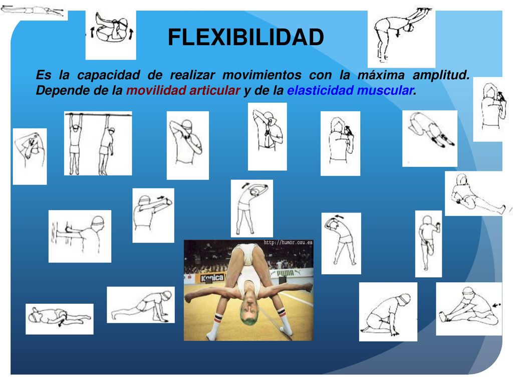 FLEXIBILIDAD Es la capacidad de realizar movimientos con la máxima amplitud.