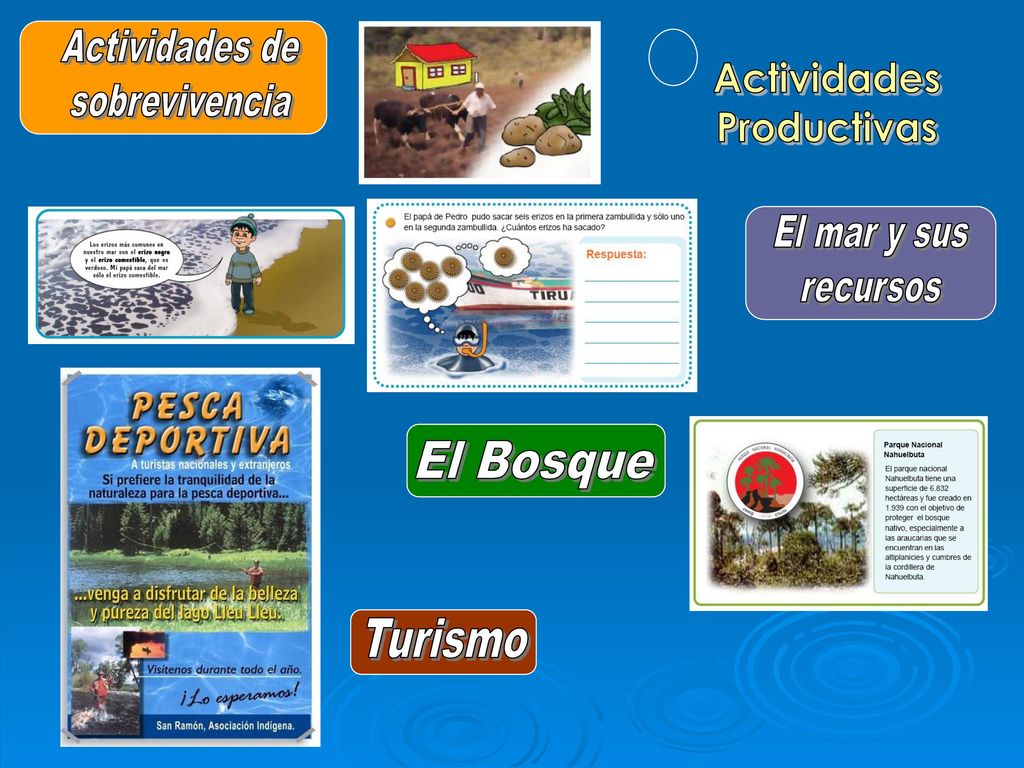 Actividades de sobrevivencia Actividades Productivas El mar y sus recursos El Bosque Turismo