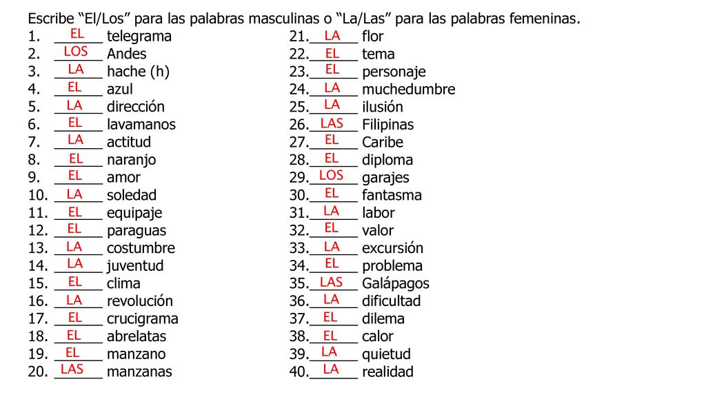 Escribe El/Los para las palabras masculinas o La/Las para las palabras femeninas.