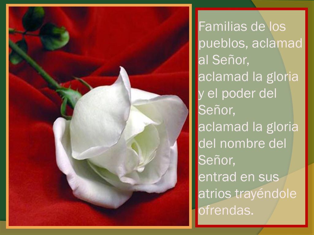 Familias de los pueblos, aclamad al Señor, aclamad la gloria y el poder del Señor, aclamad la gloria del nombre del Señor, entrad en sus atrios trayéndole ofrendas.