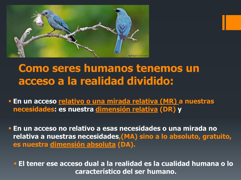 Como seres humanos tenemos un acceso a la realidad dividido: