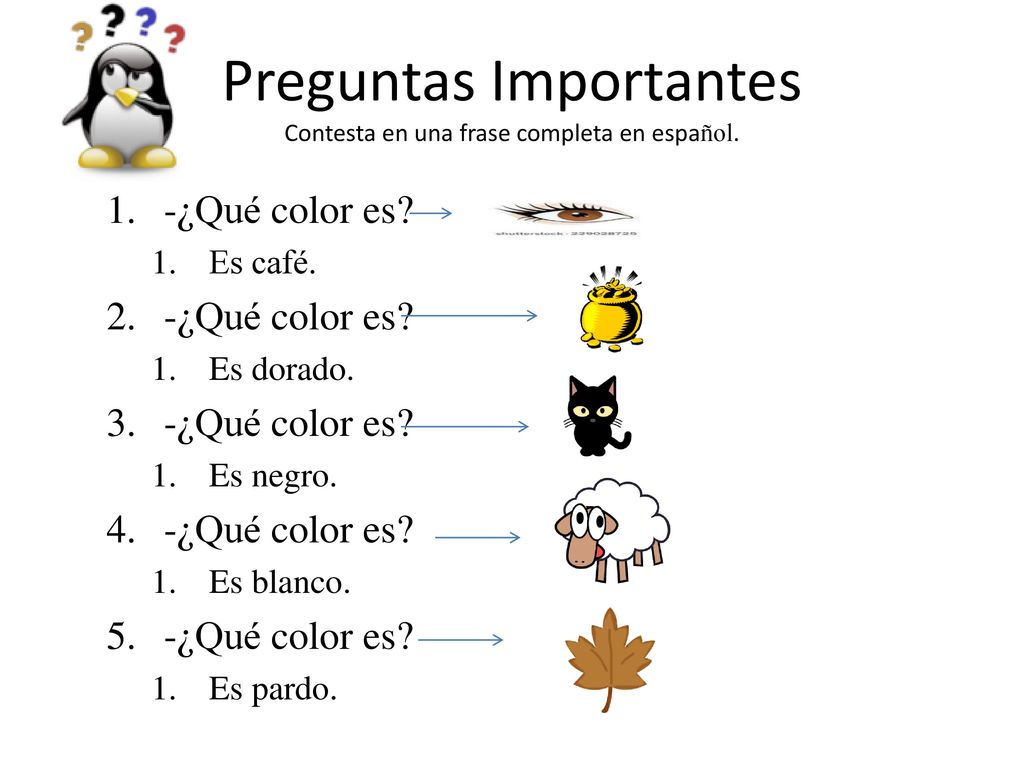 Preguntas Importantes Contesta en una frase completa en español.