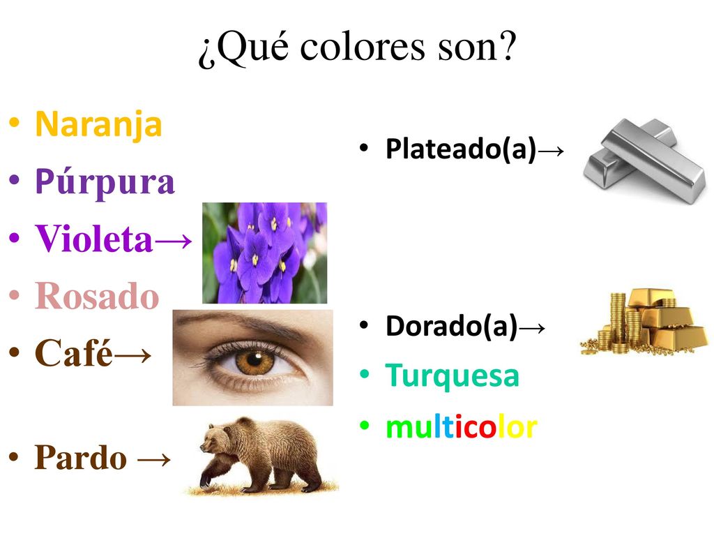 ¿Qué colores son Naranja Púrpura Violeta→ Rosado Café→ Turquesa