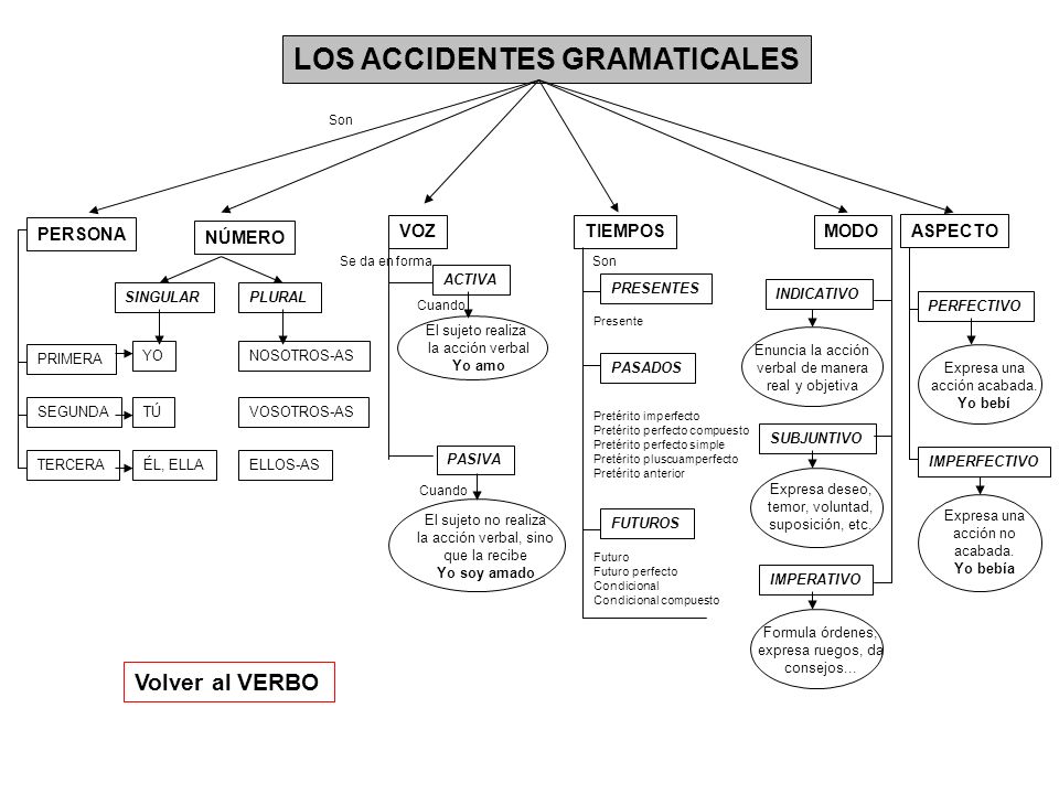 LOS ACCIDENTES GRAMATICALES