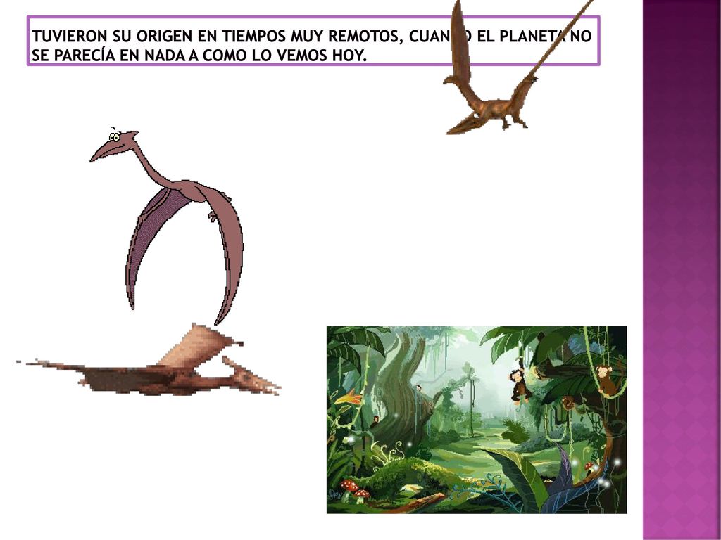 tuvieron su origen en tiempos muy remotos, cuando el planeta no se parecía en nada a como lo vemos hoy.